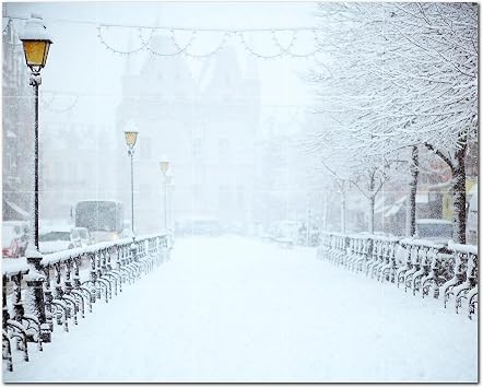 Winter Ceramic Tile Wall Mural AMZ501218-54XL. 60" W x 48" H Using 20 12" x 12" Ceramic Tiles