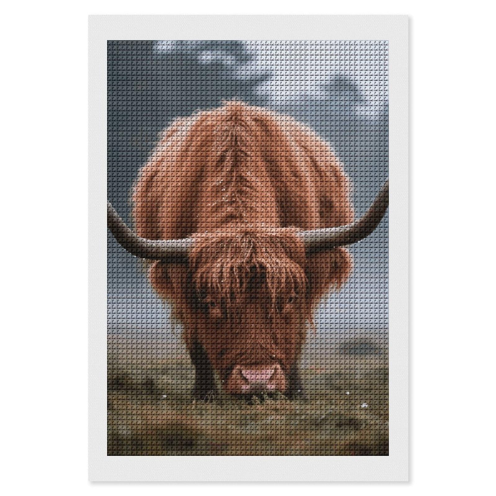 FodPand Highland Cow 5D Diamond Painting Kits for Adults Beginners Full Drill Square Diamond Dots Pictures Gem Art Supplies for Home Wall Room Decoration DIY Craft Set Gift 8x12