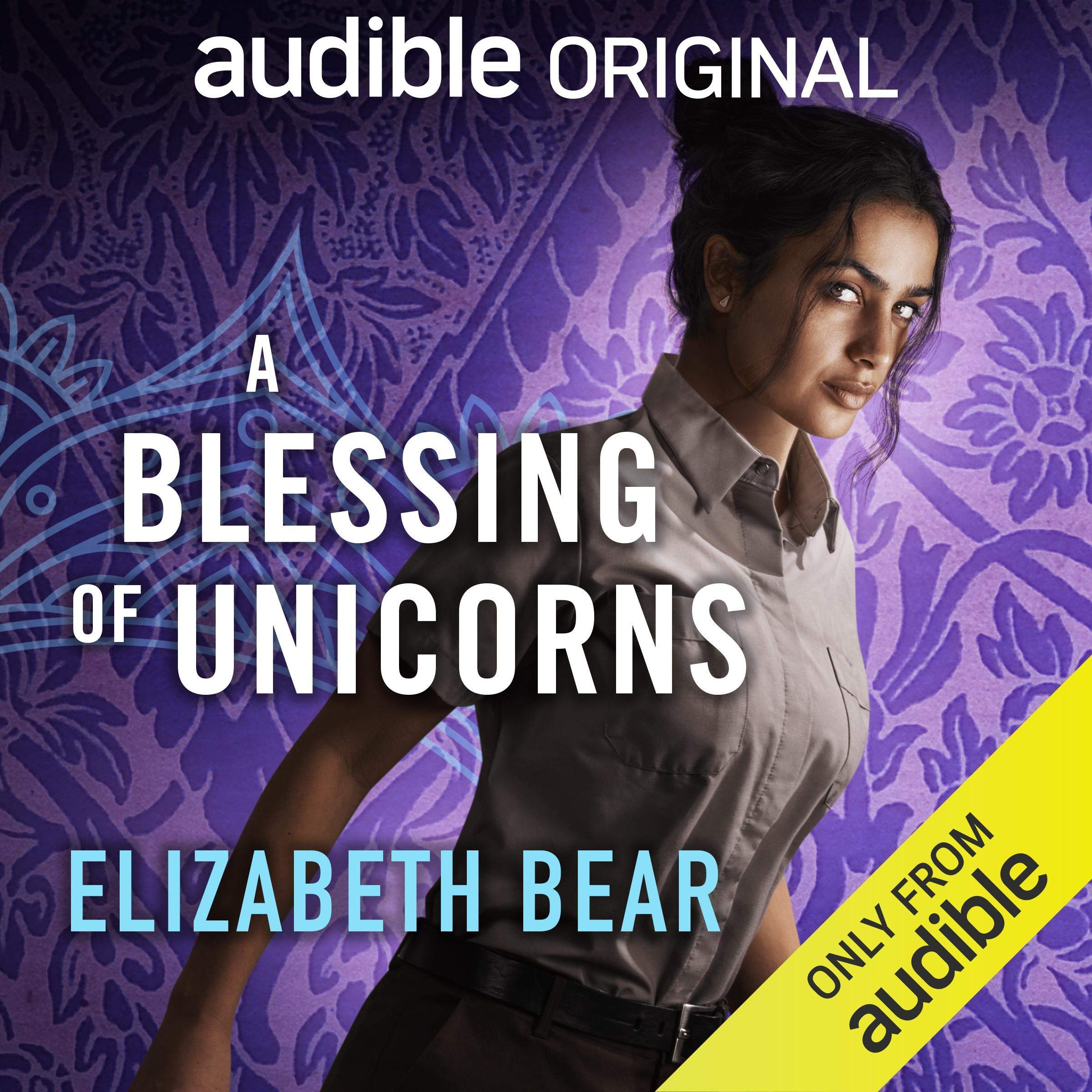 Cover art for A Blessing of Unicorns