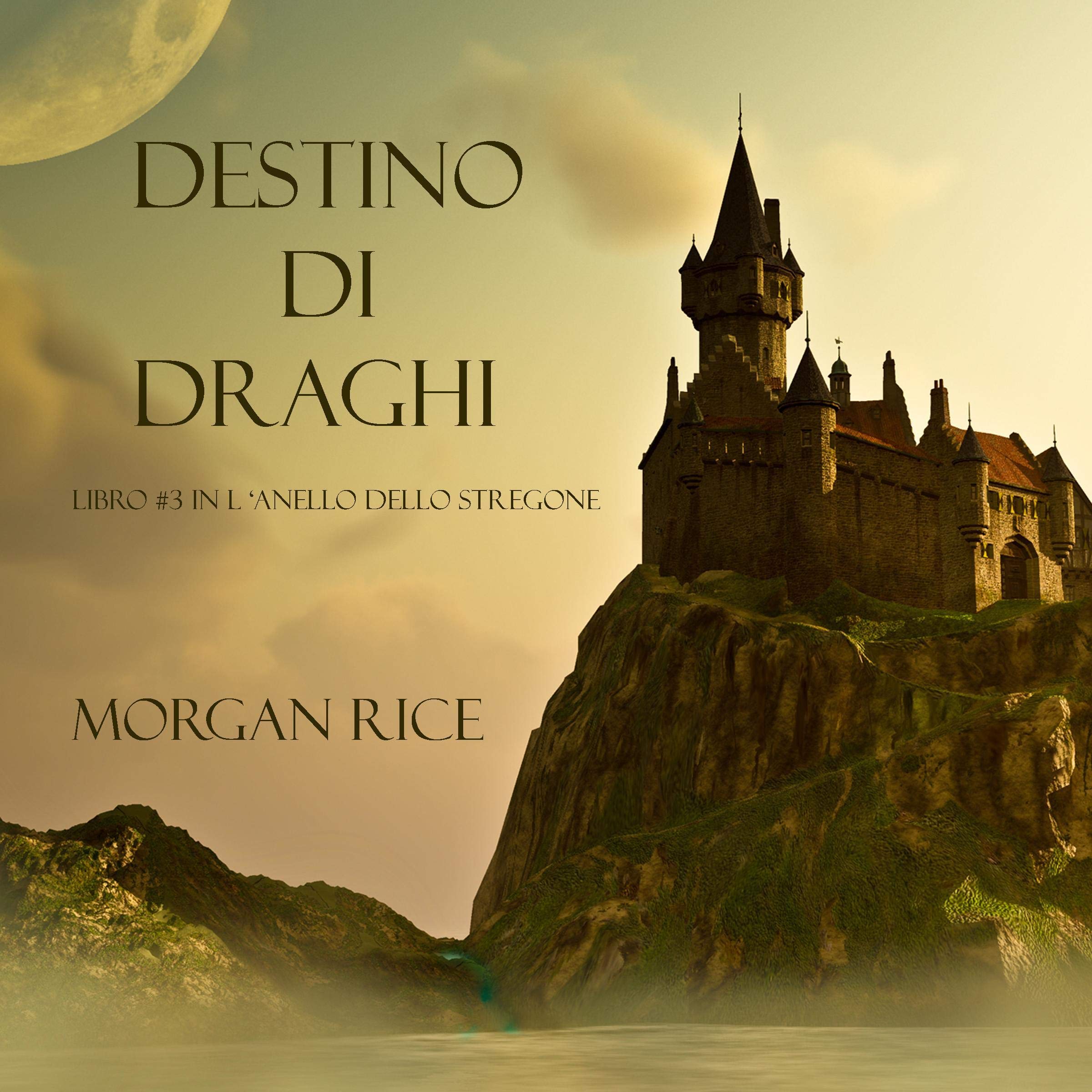 Cover art for Destino Di Draghi