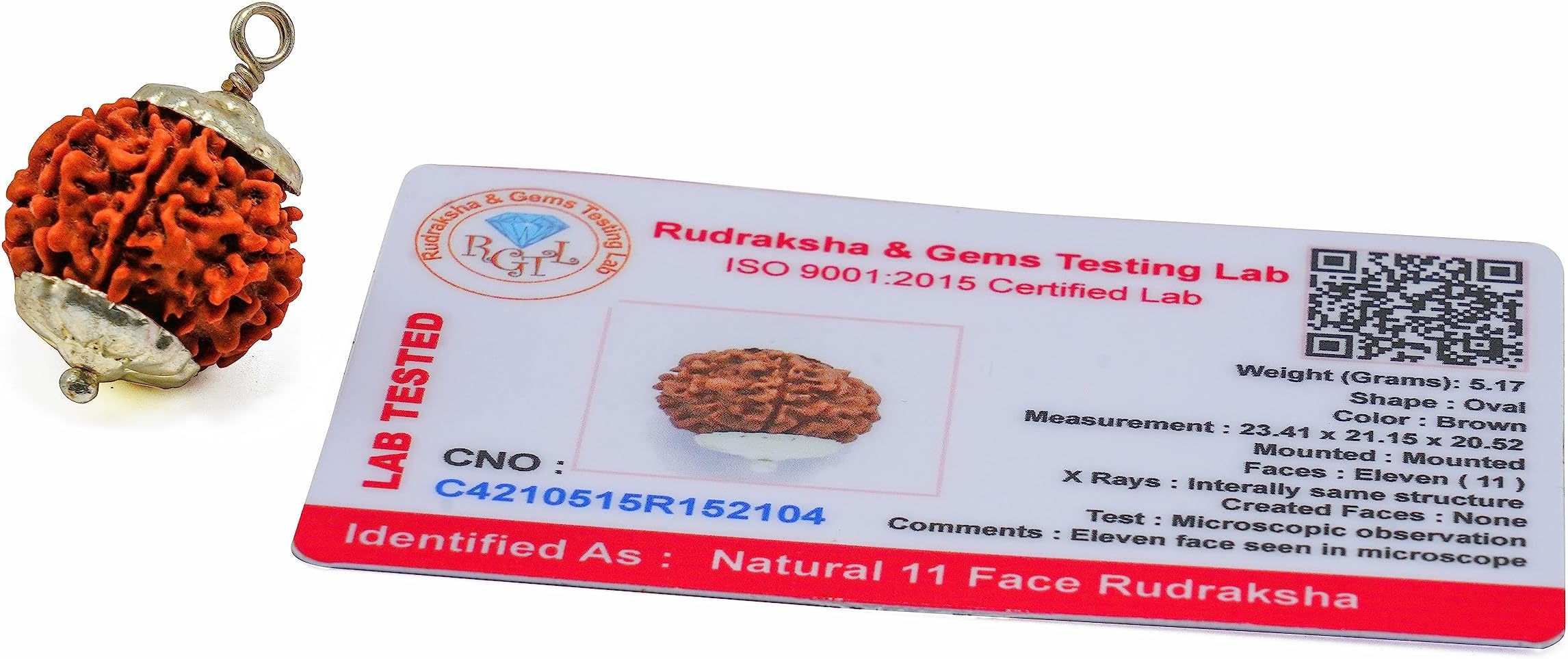 PANDIT NM SHRIMALIMen's/Women's 11 Mukhi Rudraksha Eleven Faced Indonesian Rudraksh Beads Original & Certified - Wearing As Pendant/Bracelet (Brown)