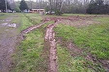 Review Image by Peach Orchard Gap