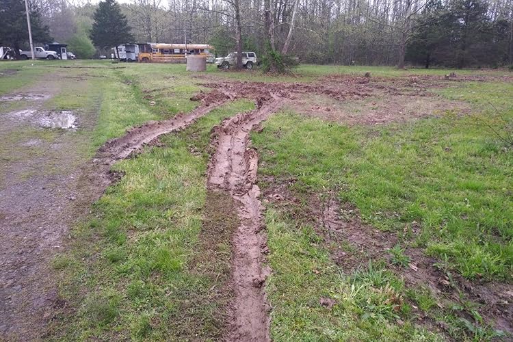 Review Image by Peach Orchard Gap
