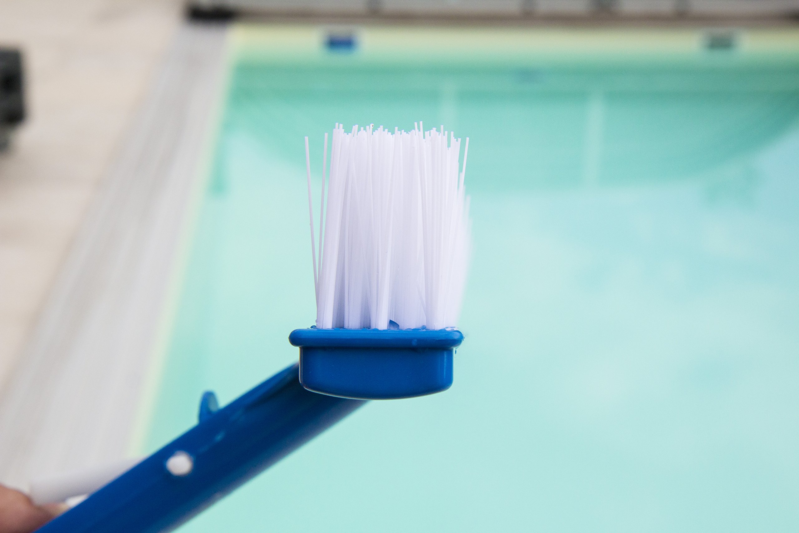 Steinbach Cuchara De Hojas Para Piscina: Atrapa Hojas Sin Esfuerzo (Adaptable A Barra Telescópica)