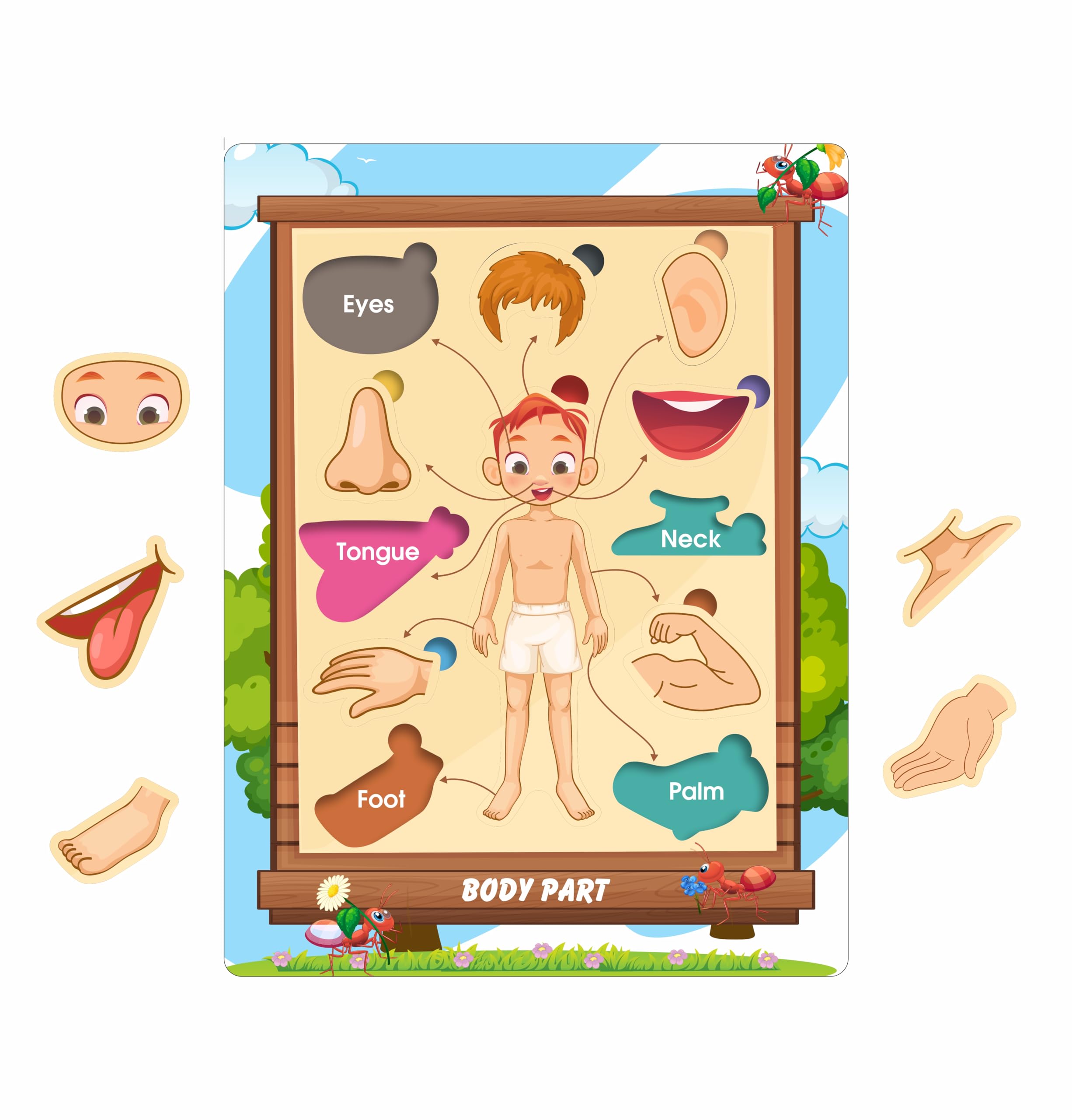 CRAFTICK Body Parts Puzzle Learning Toy for Kids | Pre-School Birthday|Return Gift Educational Board for Kids Set of 1 Multicolor - Image 2 thumbnail