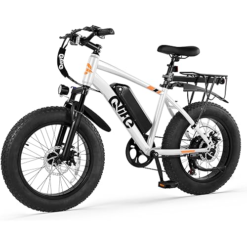 Qlife Racer Fat Tire Series Electric Bike for Adults, 28MPH, 50/65 Miles Mountain Ebike with Peak 1200W Brushless Motor, 48V 10AH/13AH Removable Battery, 20X4.0 Tire Step Over E-MTB with 7-Speed
