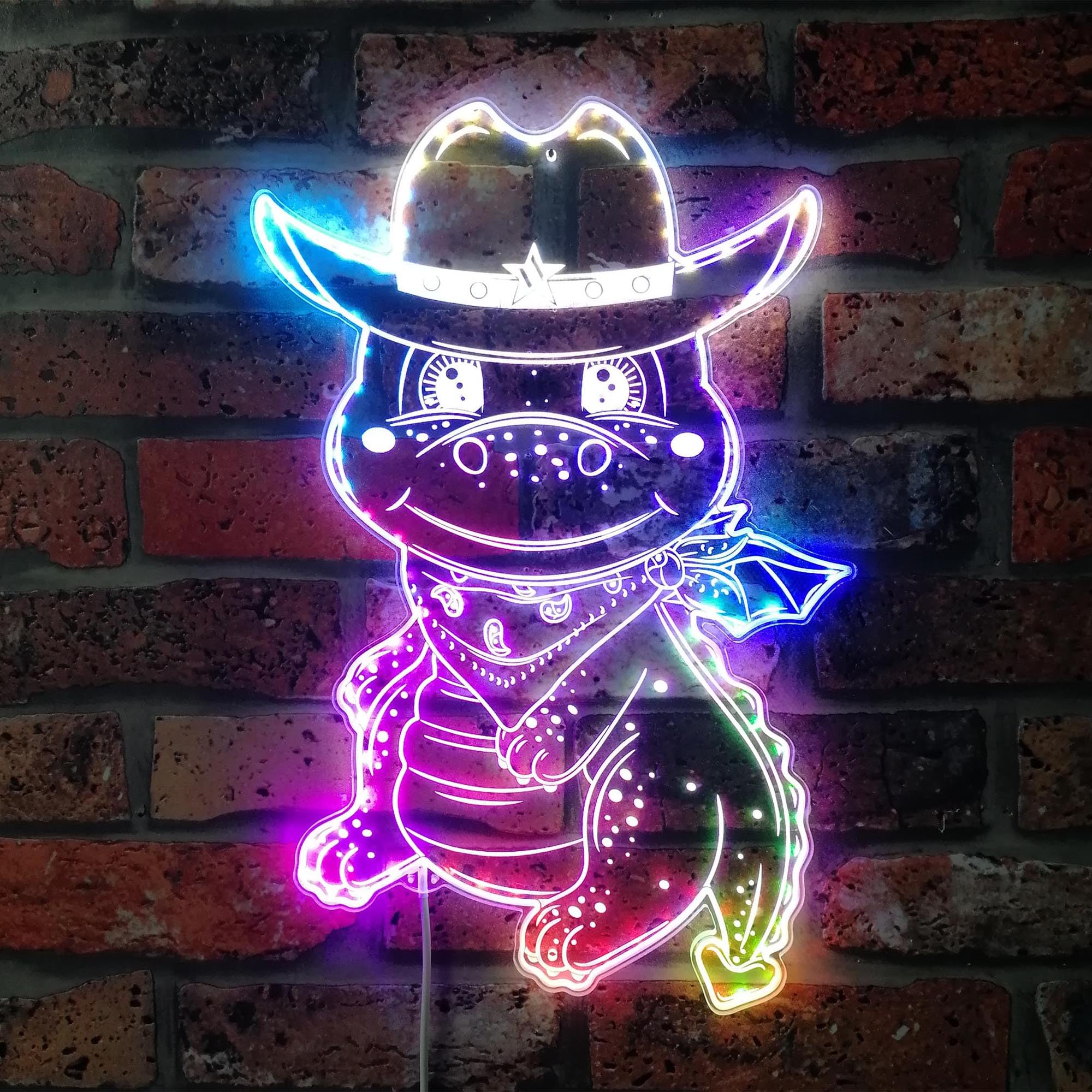 ADVPRO Cowboy Dragon Hat Kid Room RGB Dynamic Glam LED Sign - Cut-to-Edge Shape - Smart 3D Wall Decoration - Multicolor Dynamic Signage st06s43-fnd-i0301-c