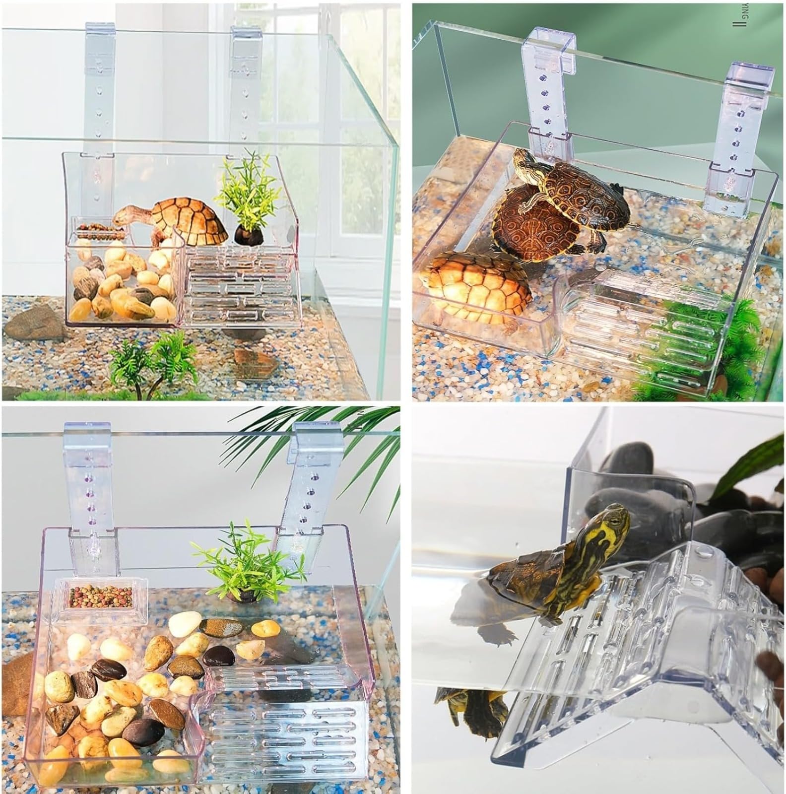 Piattaforme da appendere per tartarughe,Rampa per tartarughe d'acqua, isola galleggiante per tartaruga, accessori per acquario, piattaforme per rettili, accessori per il miglioramento dell'abitazione,
