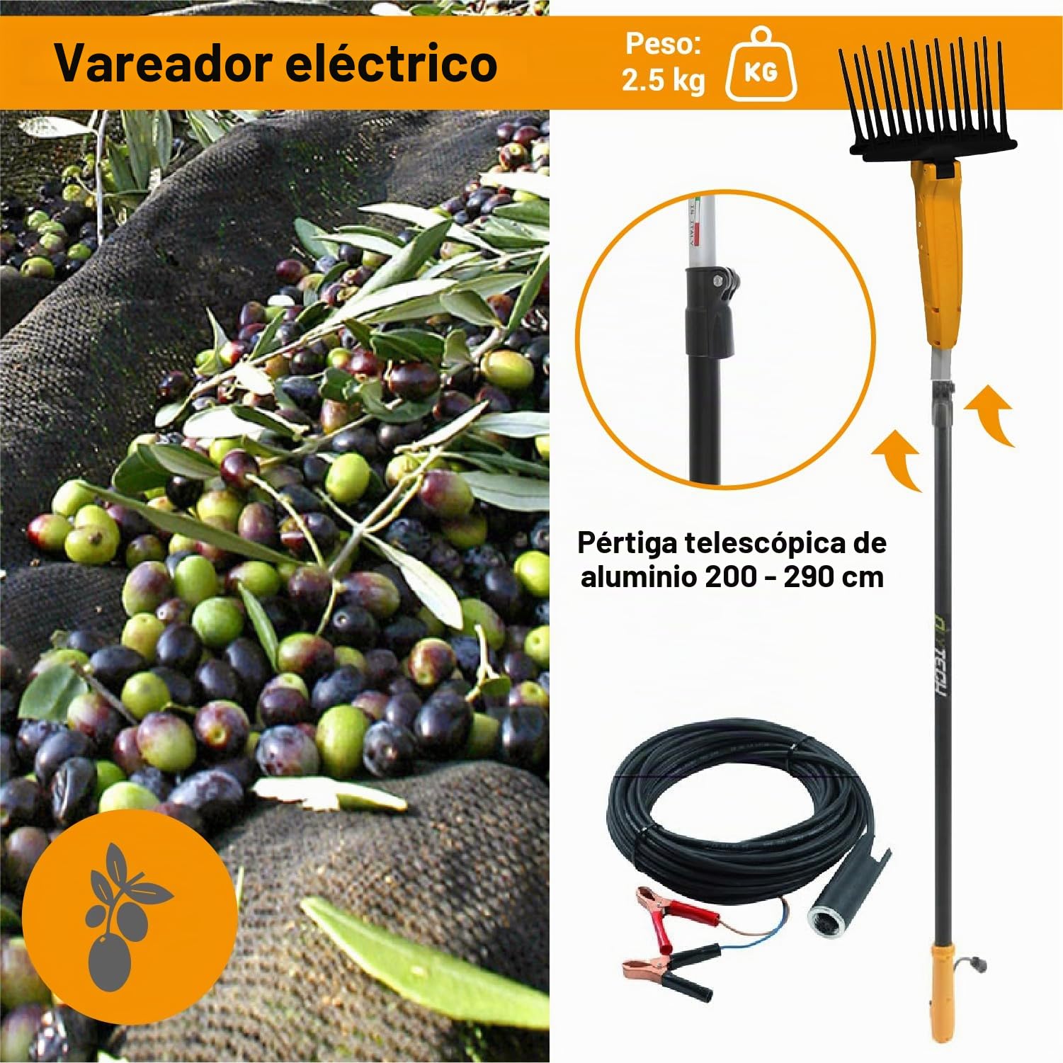 Crisalide® - Olytech Dualcomb 13 - Vareador recogedor de aceitunas con batería - Negro