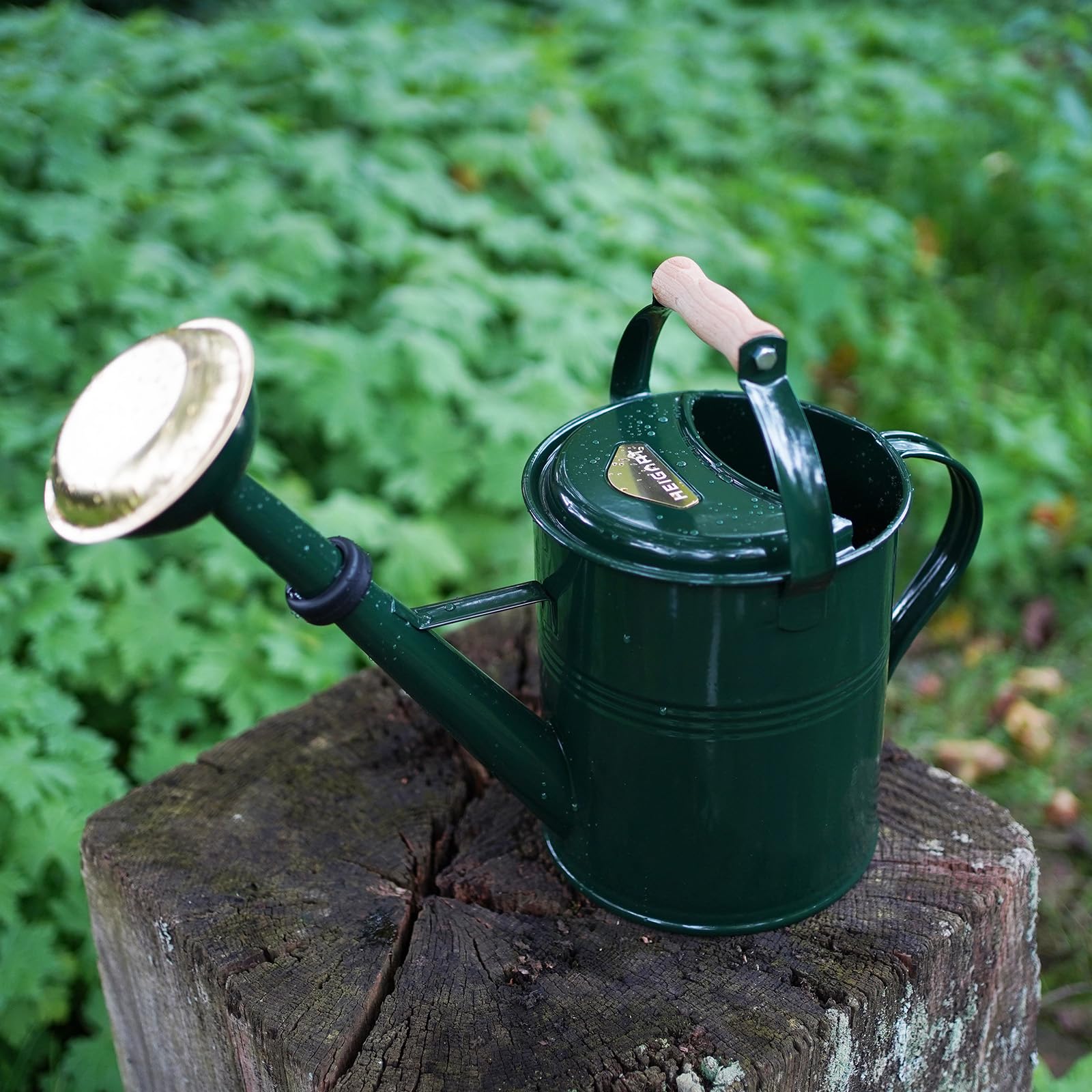 Gießkanne Classic 5L mit Holzgriff