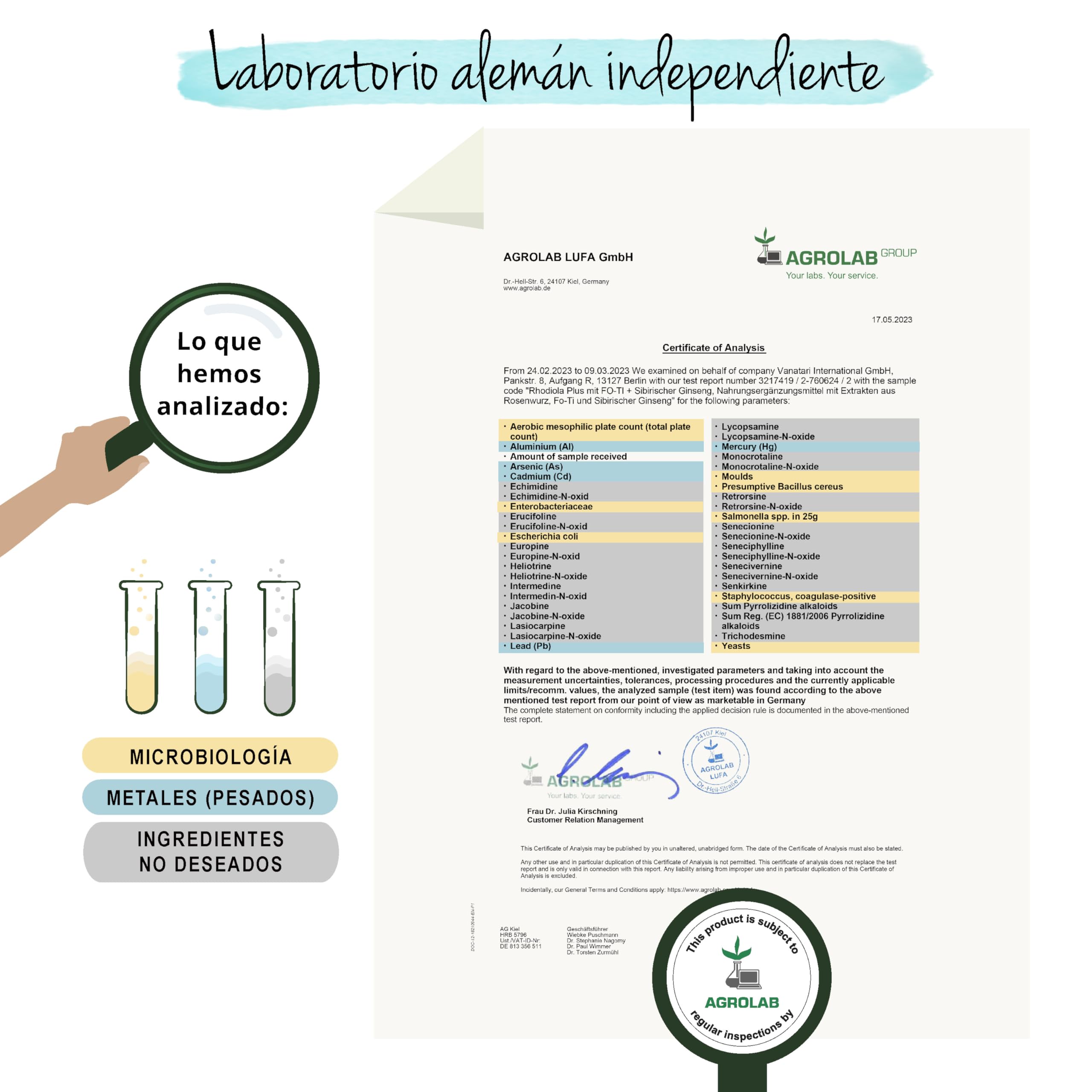 Rhodiola Rosea PLUS Vegavero® | Con Ginseng Siberiano + Fo Ti (He Shou Wu) | Nootrópicos, Memoria, Concentración | Sin Aditivos | 120 Cápsulas | Vegano