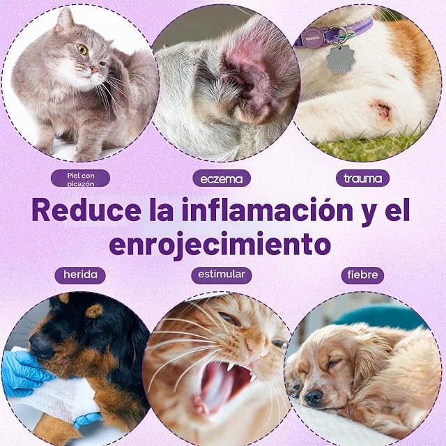 Foto 4 de 7 de YOLONCE Spray de Plata Coloidal para Perros y Gatos - Spray Cicatrizante - Alivio de Picores