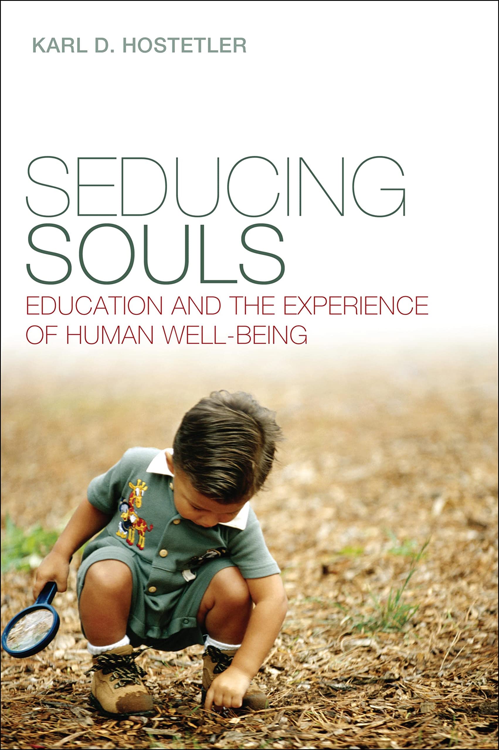 Buy Seducing Souls: Education and the Experience of Human Well-Being — BookShops.in