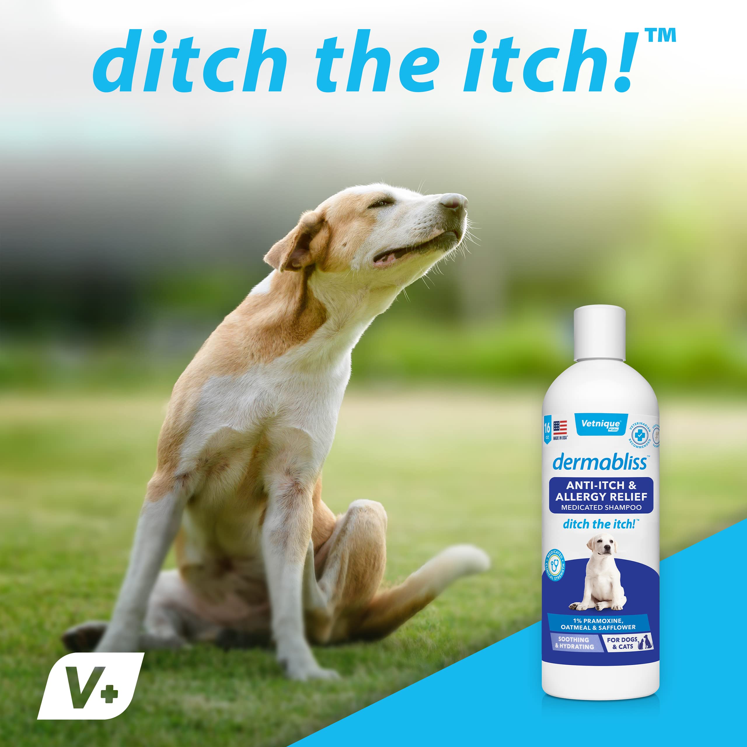 Buy VETNIQUE LABS Dermabliss Itch & Allergy Relief Medicated Dog
