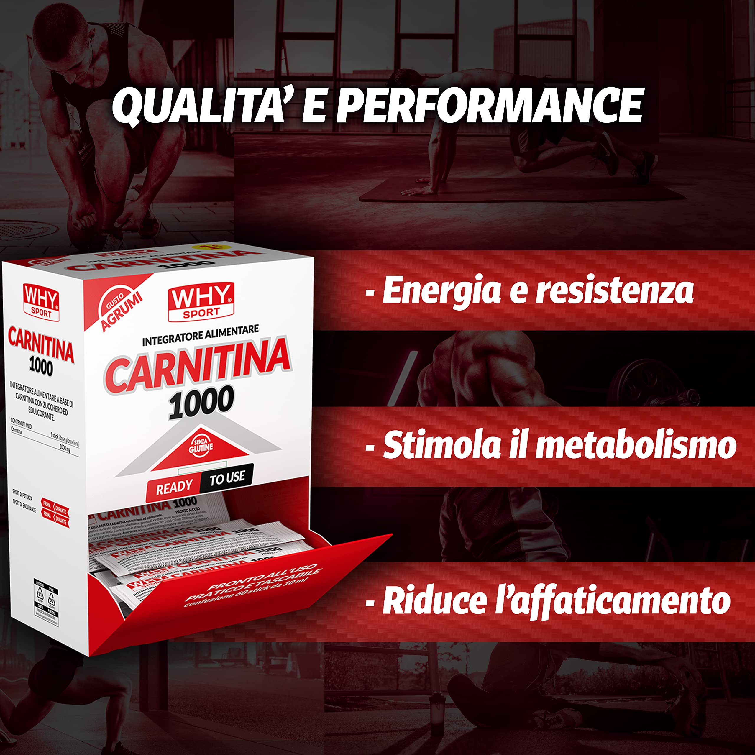 WHY SPORT CARNITINA 1000 - Integratore Alimentare Energetico a Base di L-carnitina – Gusto Agrumi – Box da 60 Sticks – 10 ml