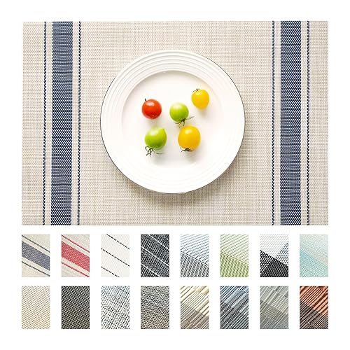 Placemats Set of 4 Vinyl/Plastic Woven Place Mats for Kitchen