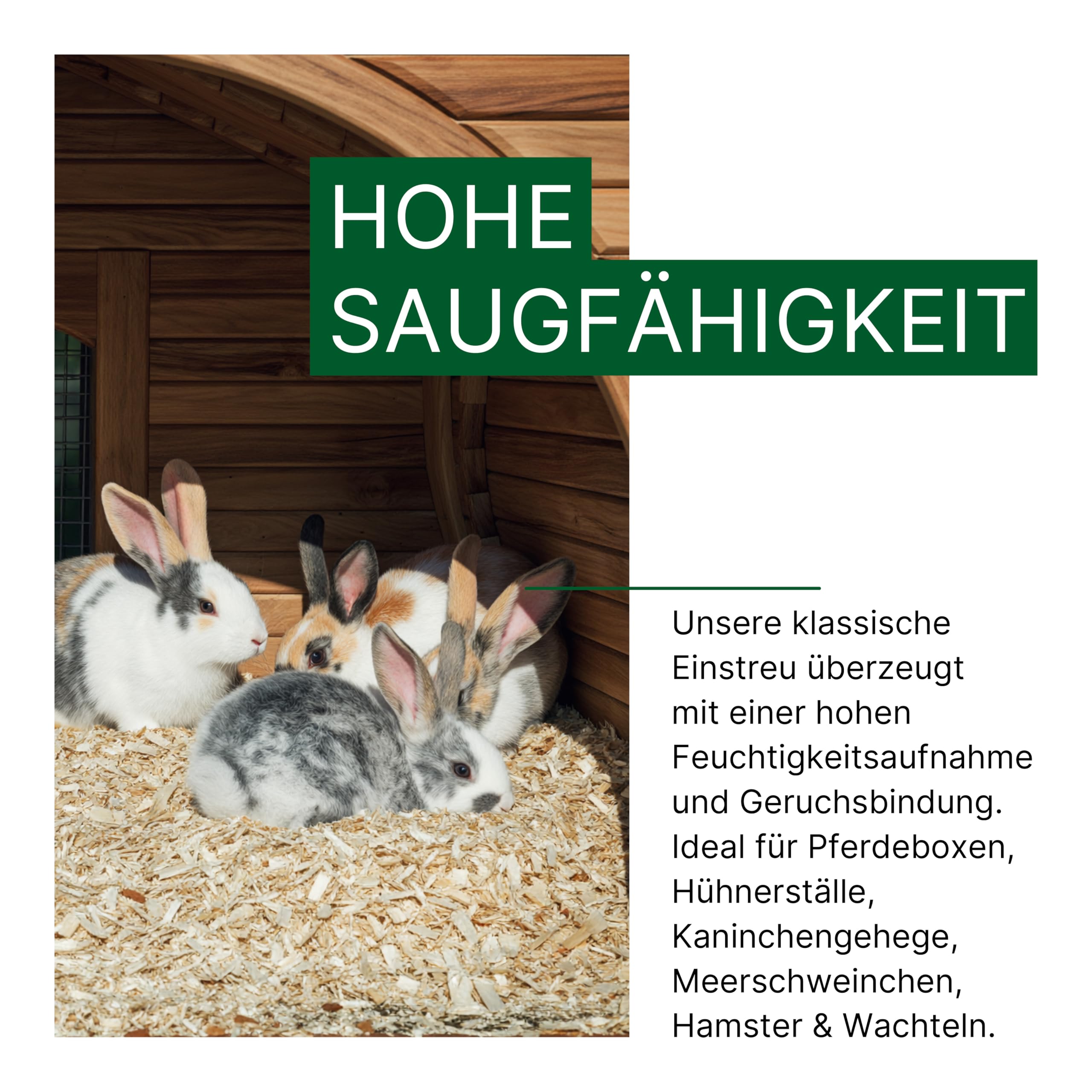 ALL-WIN | Allspan German Horse Classic 19 kg – Palette 21x | Hochwertiges Weichholz-Einstreu | Staubarm, saugstark & hygienisch | Ideal für Pferdeboxen, Hühner, Kaninchen, Hamster & andere Kleintiere