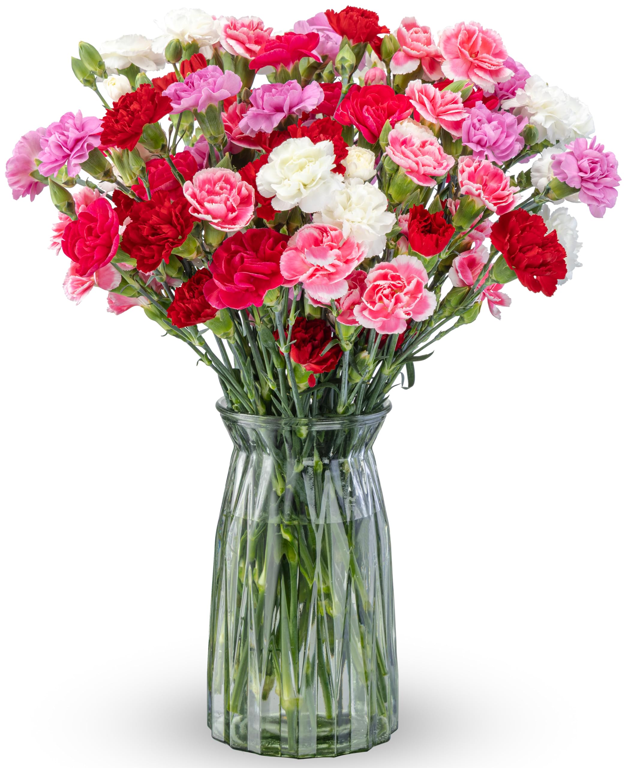 Benchmark Bouquets - 20 Stem Rainbow Mini Carnations (Glass Vase Included) - Fresh Flowers for Next Day Delivery - Gift for Birthday, Anniversary, Get Well, Sympathy, Congratulations, Valentine's Day