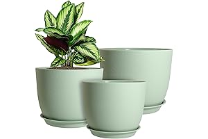 3 Tier Plant Pots with Drainage and Saucers