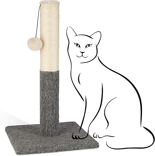 PAWBEE 20" Tall Cats Scratch Post for Indoor Cats and Kitten, Cat Scratching Post, Sisal Cat Scratcher with Hanging Ball, scratchers posts for indoor Kitten, Modern Sisal Rope Pole for Healthy Scratch