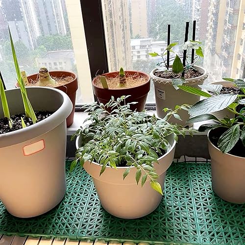 Miniatura 4 de Paquete de 12 baldosas modulares entrelazadas de 12 x 12 pulgadas, antideslizantes, impermeables, de drenaje, azulejos de goma para exteriores, para