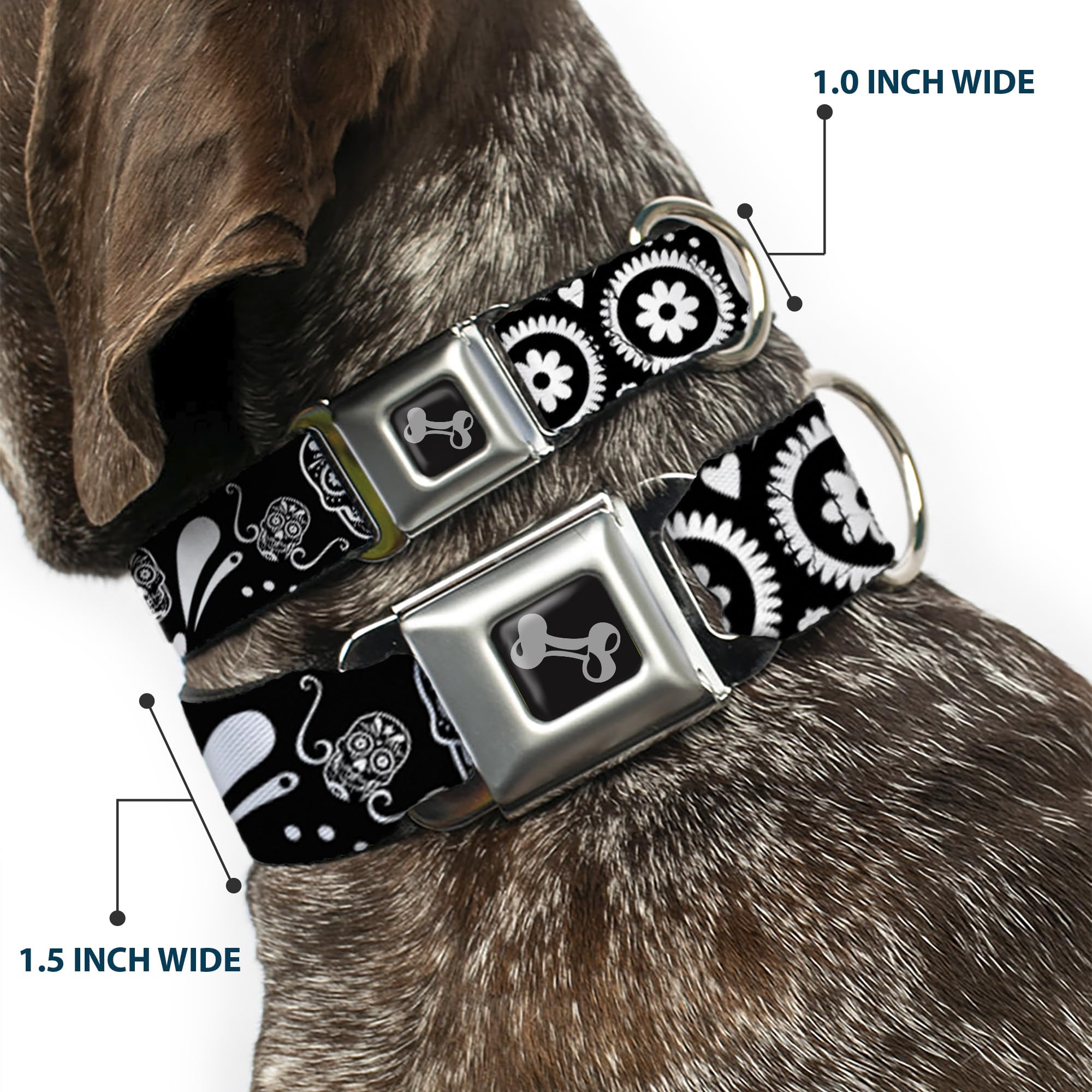 Buckle-Down Obroża dla psa z klamrą pasa bezpieczeństwa - cukrowe czaszki czarne/białe - szerokość 3,8 cm - pasuje na szyję 40-58 cm - rozmiar M