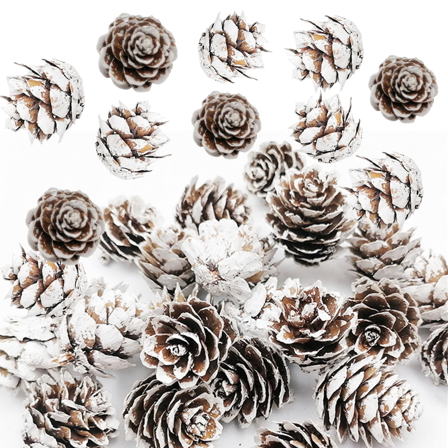 alfyng 220 PCS Christmas Mini Snow Pine Cones Bulk, Thanksgiving Rustic Mini White Pinecones Ornaments Vase Fillers for Home Wedding Decoration, DIY Fall and Xmas Tree Crafts Pine Cones Decorations