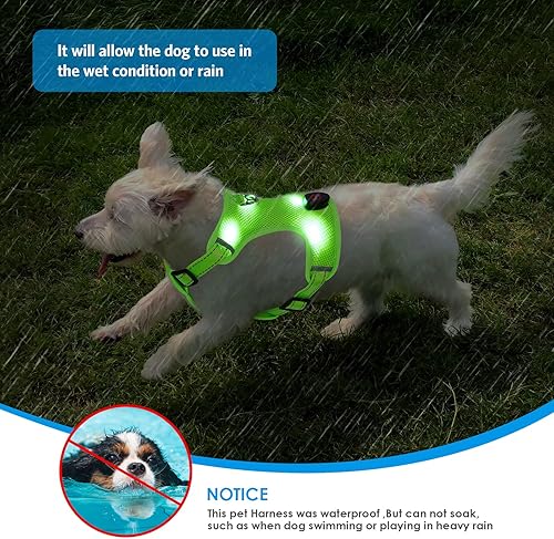 Miniatura 5 de AMIR - Arnés LED para perro, pequeño, sin tirones, sin estrangulamiento, recargable por USB, 3 modos de iluminación, ajustable, transpirable, malla