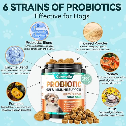 Miniatura 3 de Carmelie Probióticos para perros, 200 masticables suaves, probióticos digestivos y enzimas para la salud intestinal con calabaza, fibra para perros,