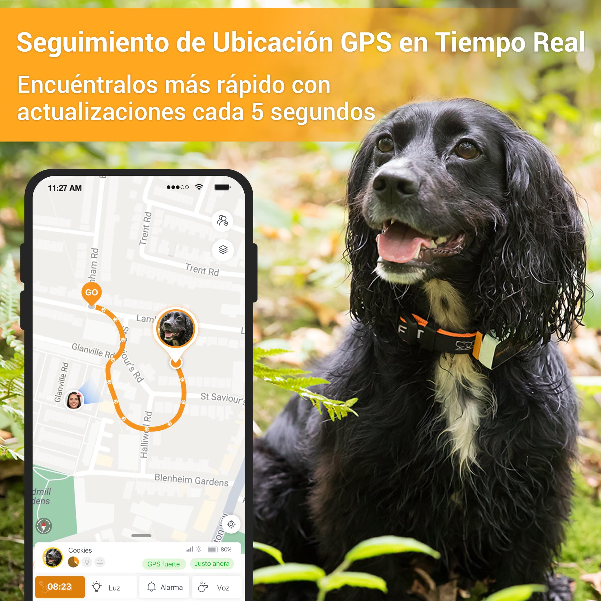 Pawfit 3 Rastreador GPS para Perros 4G, Seguimiento en Vivo, Impermeable, Llamada de Voz Remota