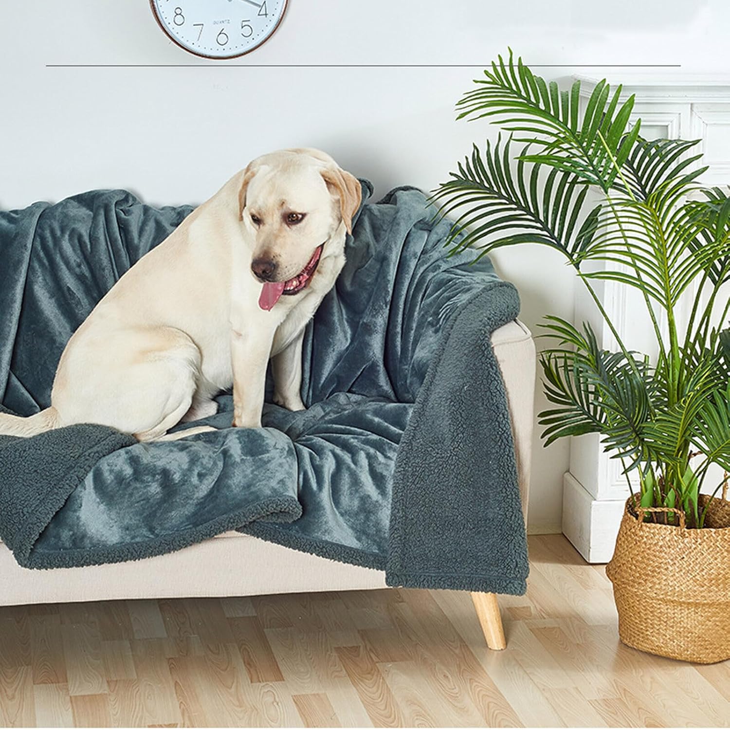 Waterproof Pet Blanket, Lovers Blanket Reversible Plush Sherpa Fleece Furniture Protector for Sofa, Bed & Couch, Liquid & Pee Proof Dog Blanket Cover for Dogs Cats Lovers Couples (Gray, XXL(79"x79"))