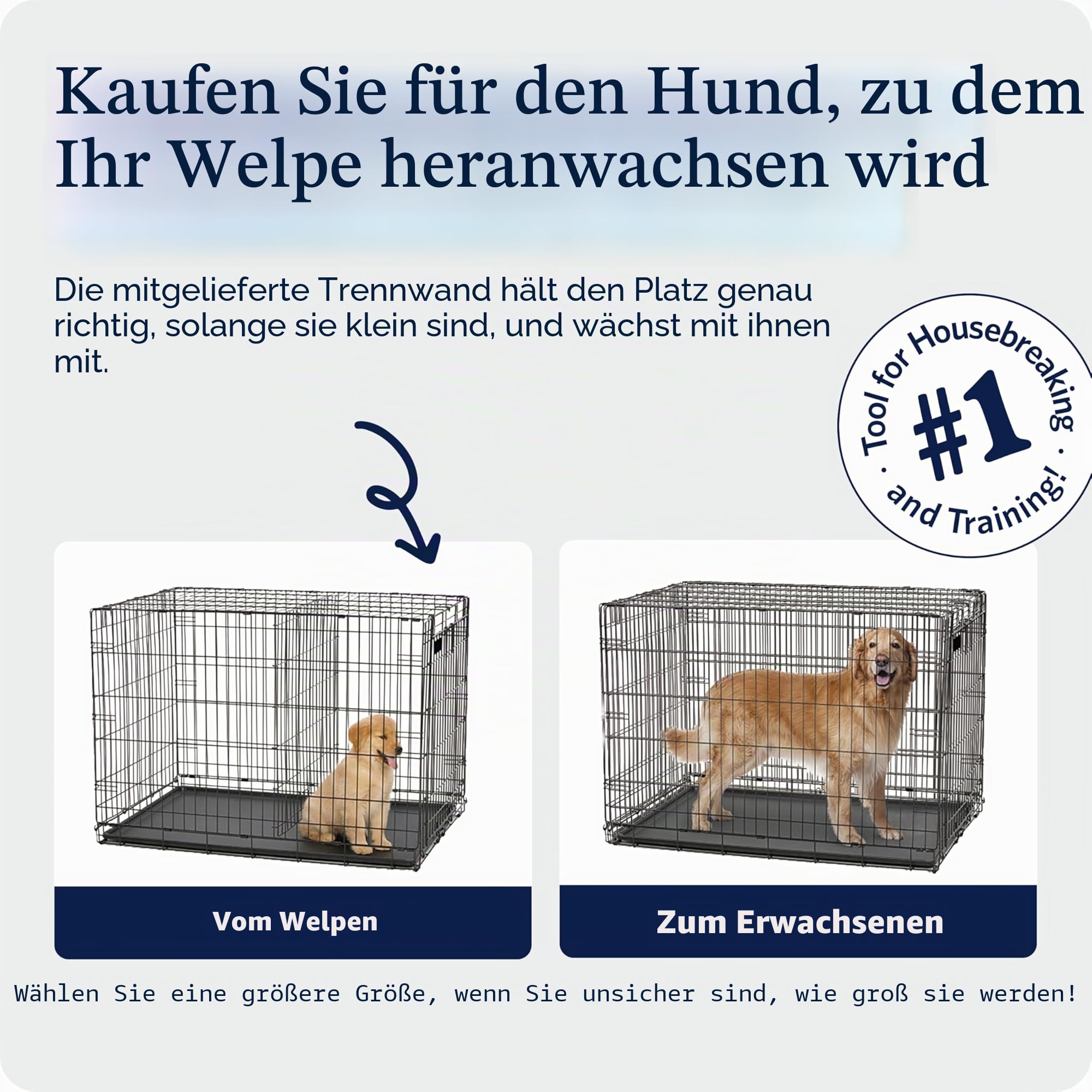 MidWest Homes for Pets Pink Fashion iCrate Hundebox mit einer Tür, zusammenklappbar, verbesserte Sicherheit, inklusive auslaufsicherer Bodenwanne, Trennwand, Griff, Gummifüße, 61 cm, rosa