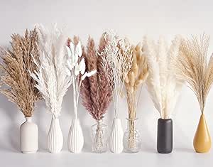 Gedroogd pampasgrasdecor, 100 stuks pampasgras bevat