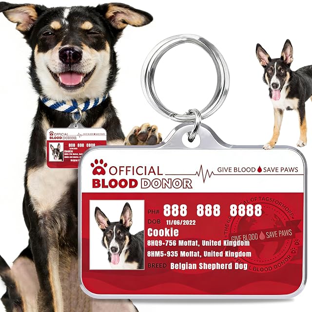 Foto 3 de 6 de Personalizada Etiquetas de Identificación para Mascotas