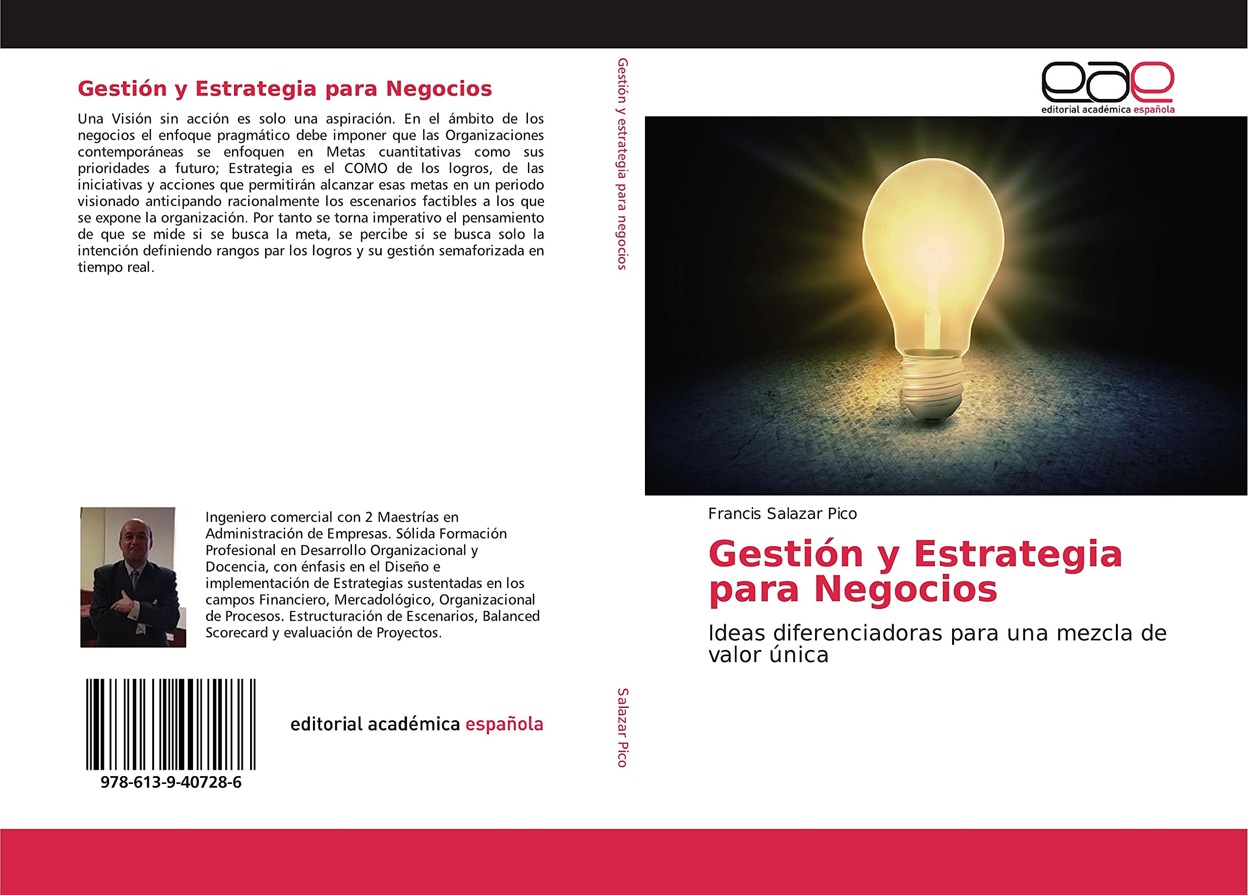 Gestión y Estrategia para Negocios: Ideas diferenciadoras para una mezcla de valor única