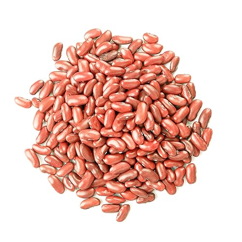 Miniatura 3 de Food to Live Frijoles rojos claros, 1 libra  Frijoles secos enteros, crudos, germinables, veganos, a granel. Rico en fibra, potasio, proteína a base