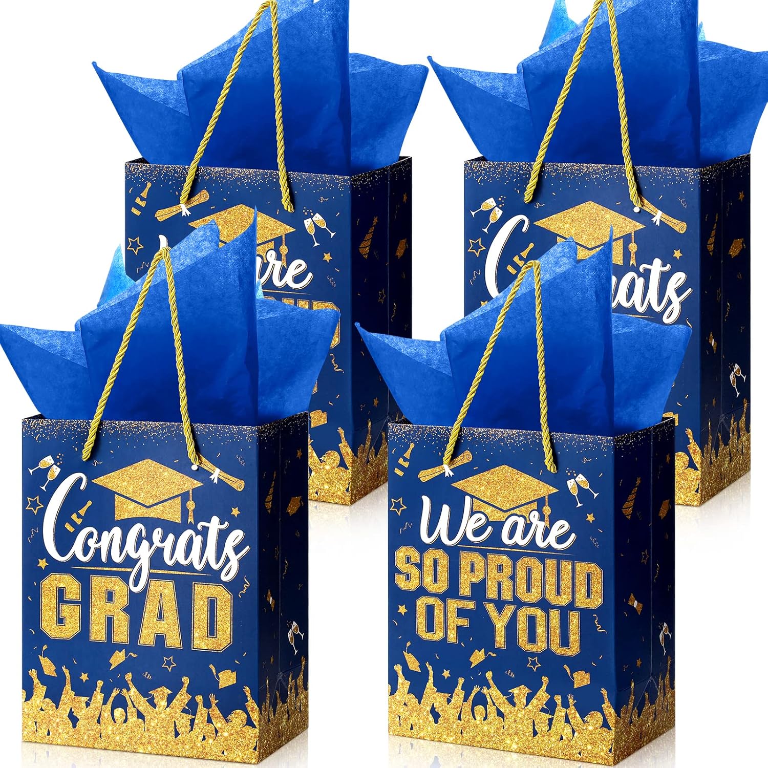 TaoBary 12 Pcs Graduation Gift Bags with Tissue Paper