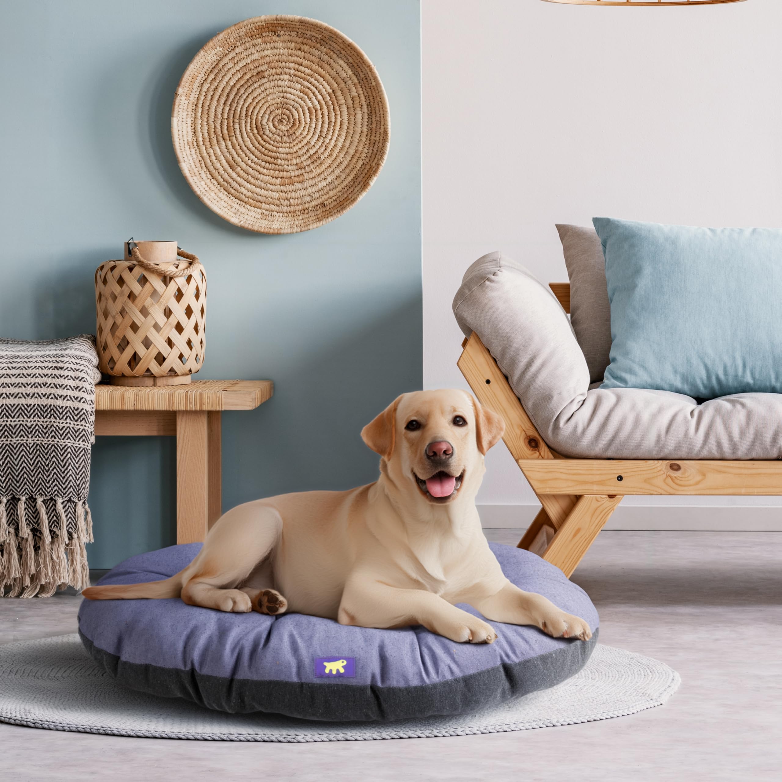 Ferplast Hundebett Relax, Hundekissen, Katzenkissen, Hundematte für Hundehütten und Autos – waschbar – aus Baumwolle mit weicher Polsterung, 100 x 63 cm. Lila