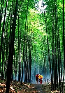 Pink: Crocus Seed, Potted Plants, Flowers, Balcony Plants, 100 Seeds, Chinese Garden, Medicine herb, Flower Bulbs Seeds, Bonsai Pot, Home Gift: Only Seeds