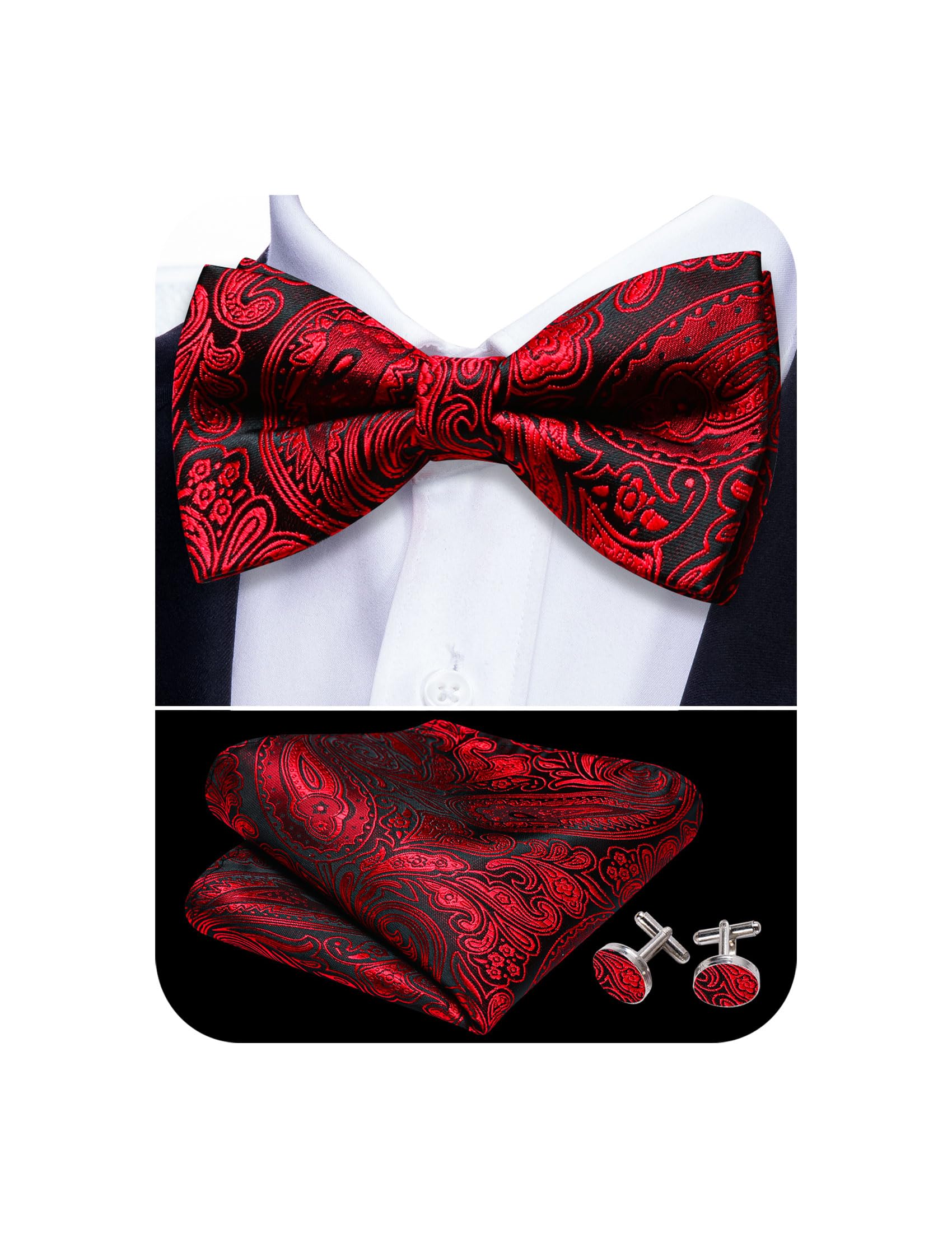 Barry.Wang Paisley Striped Bow Tie for Men Silk Pre-Tied Bowtie Set