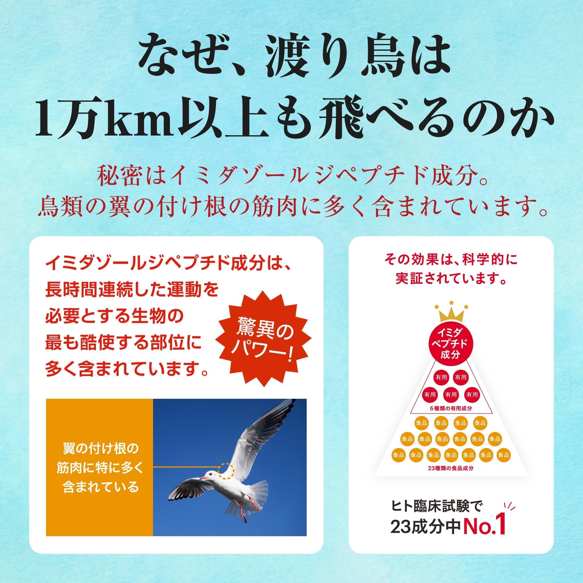 Amazon.co.jp: 【公式店販売】 イミダペプチド うめ風味 ドリンク