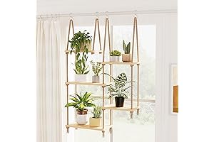 Bamworld Window Shelves: Adorn Your Abode with Grace and Nature's Charm