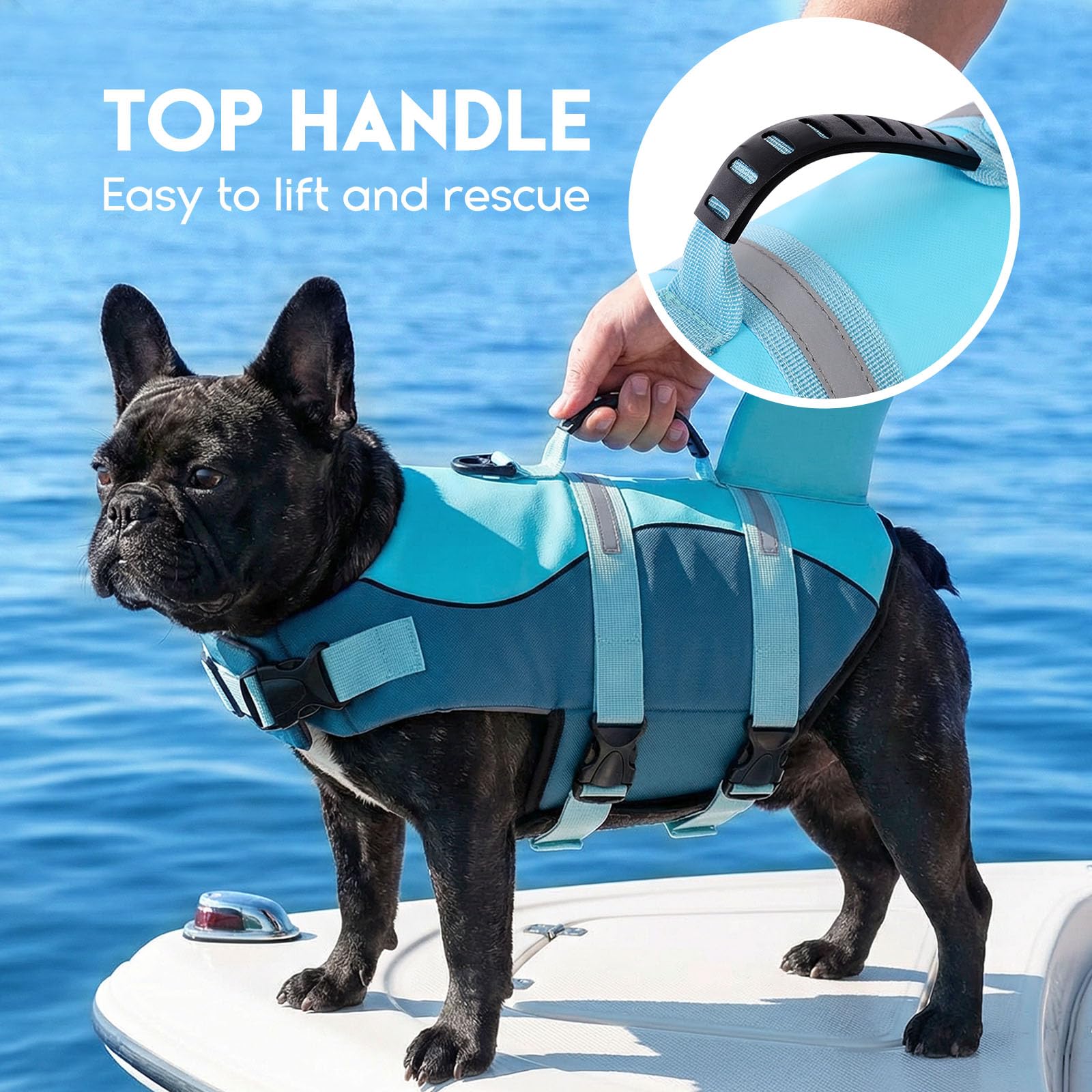 ASENKU Hundeschwimmweste Größe S für kleine Hunde, Schwimmweste für Hund Hai mit Sicherheitsgriff, Reflektorstreifen & D-Ring, ideal für Schwimmen, Boot & Strand