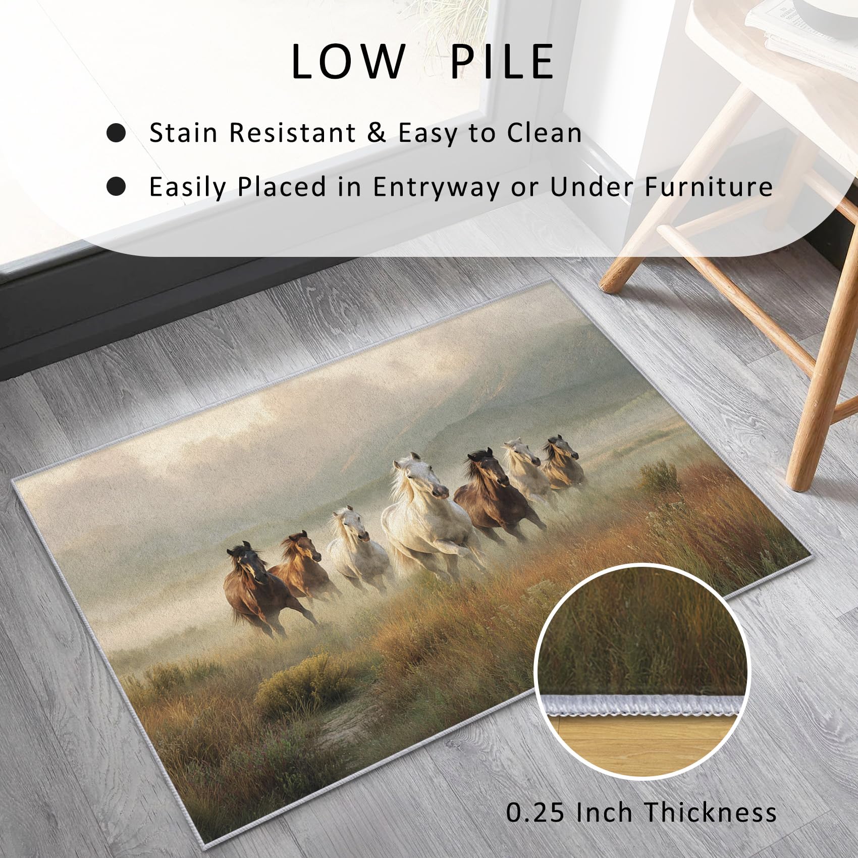 Générique Tapis Cheval, Tapis Salon Motif Chevaux au Galop 140x200 cm, Pile Courte, Antidérapant, pour Carpette Chambre, Descente de Lit, Lavable Interieur, Decoration Maison A(459)