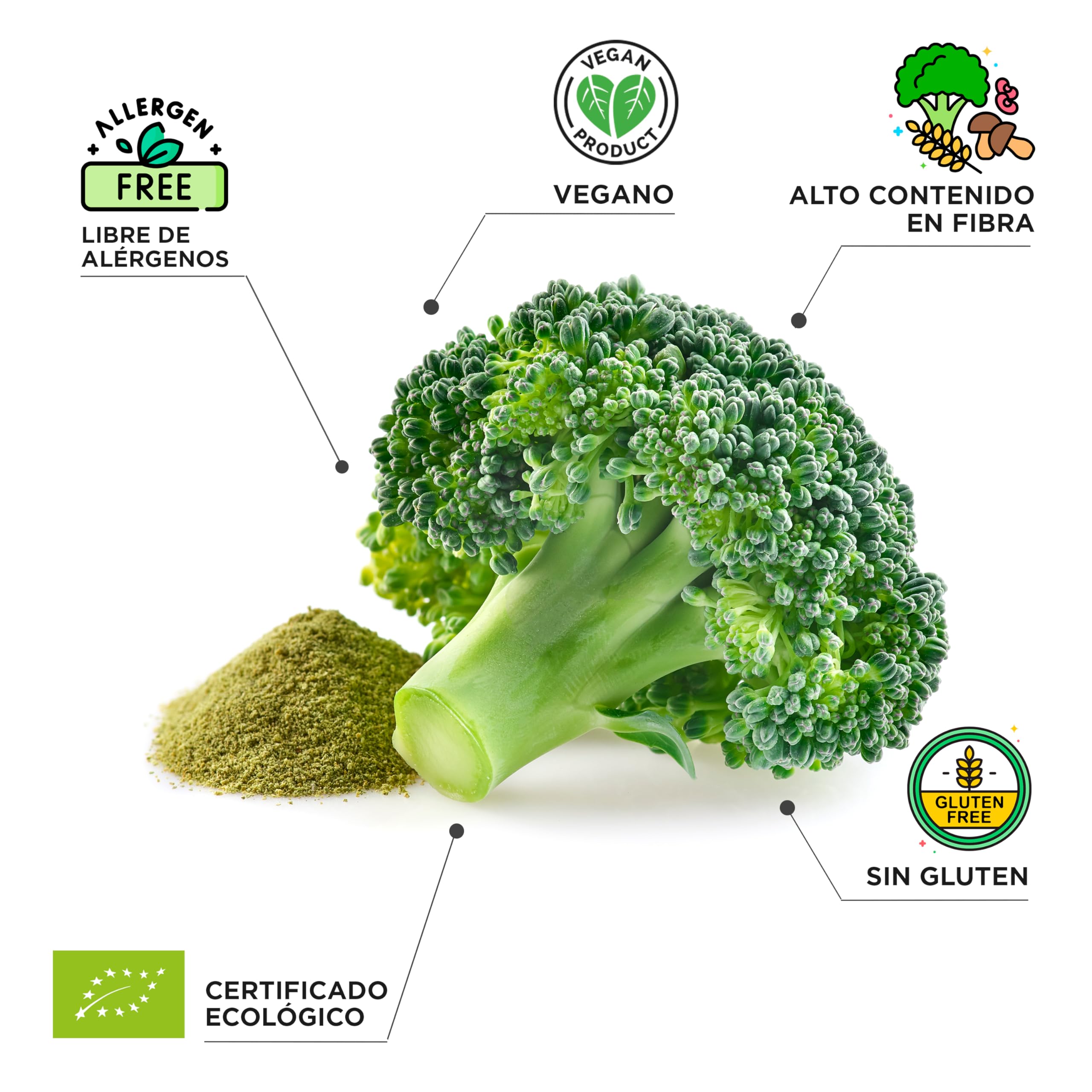 DRASANVI SUPERALIMENTO BRÓCOLI CERTIFICADO BIO - Alto contenido en Fibra + Proteínas + Vitamina C - Opción estupenda para un batido saludable - VEGANO - SIN GLUTEN - 150g