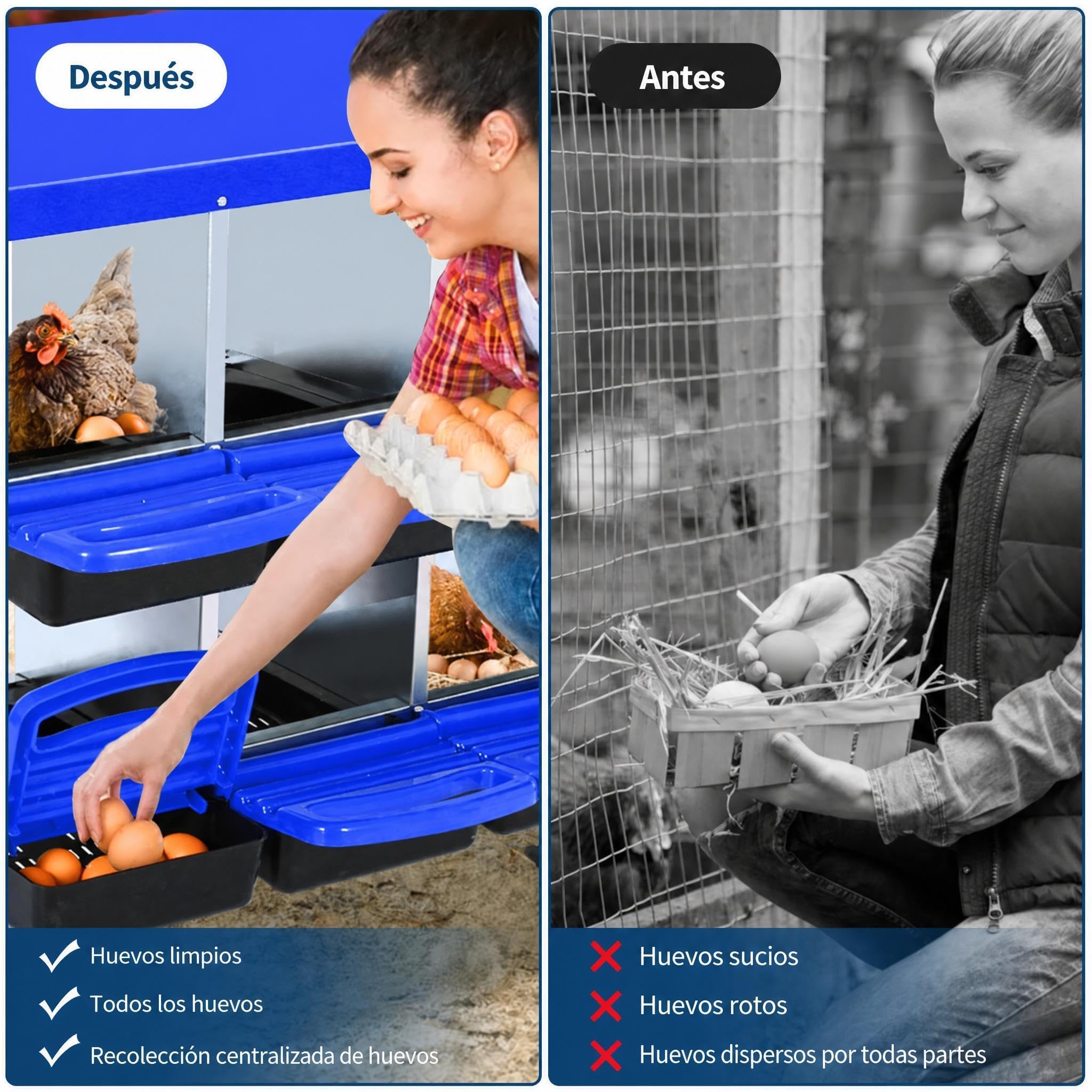 Garvee Caja De Anidación para Gallinas 6 Compartimentos Acero Galvanizado Antióxido Tapa Extraíble
