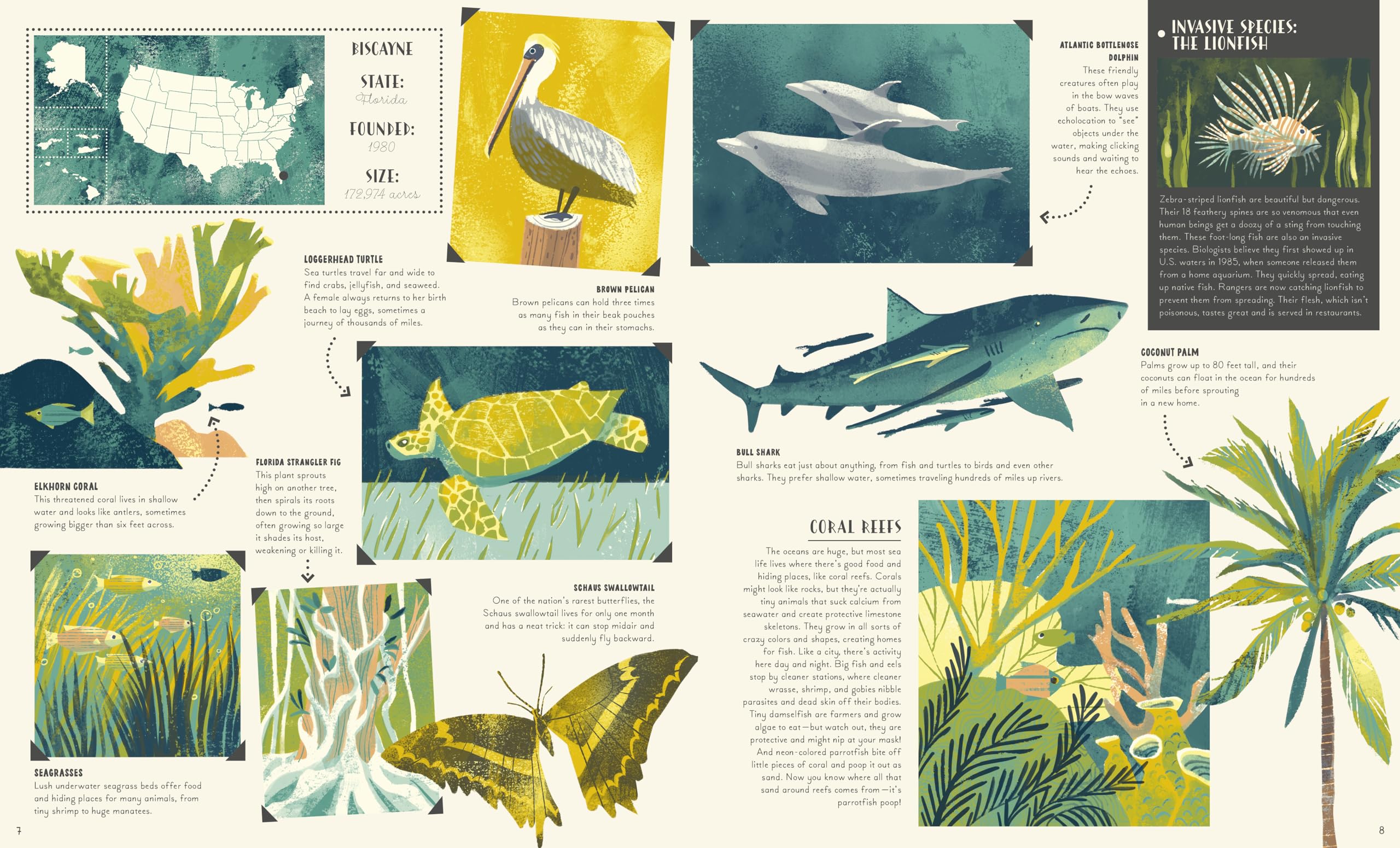 National Parks of the USA (Americana) - Image 5