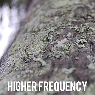 T H I N G S B E W O R K I N G O U T