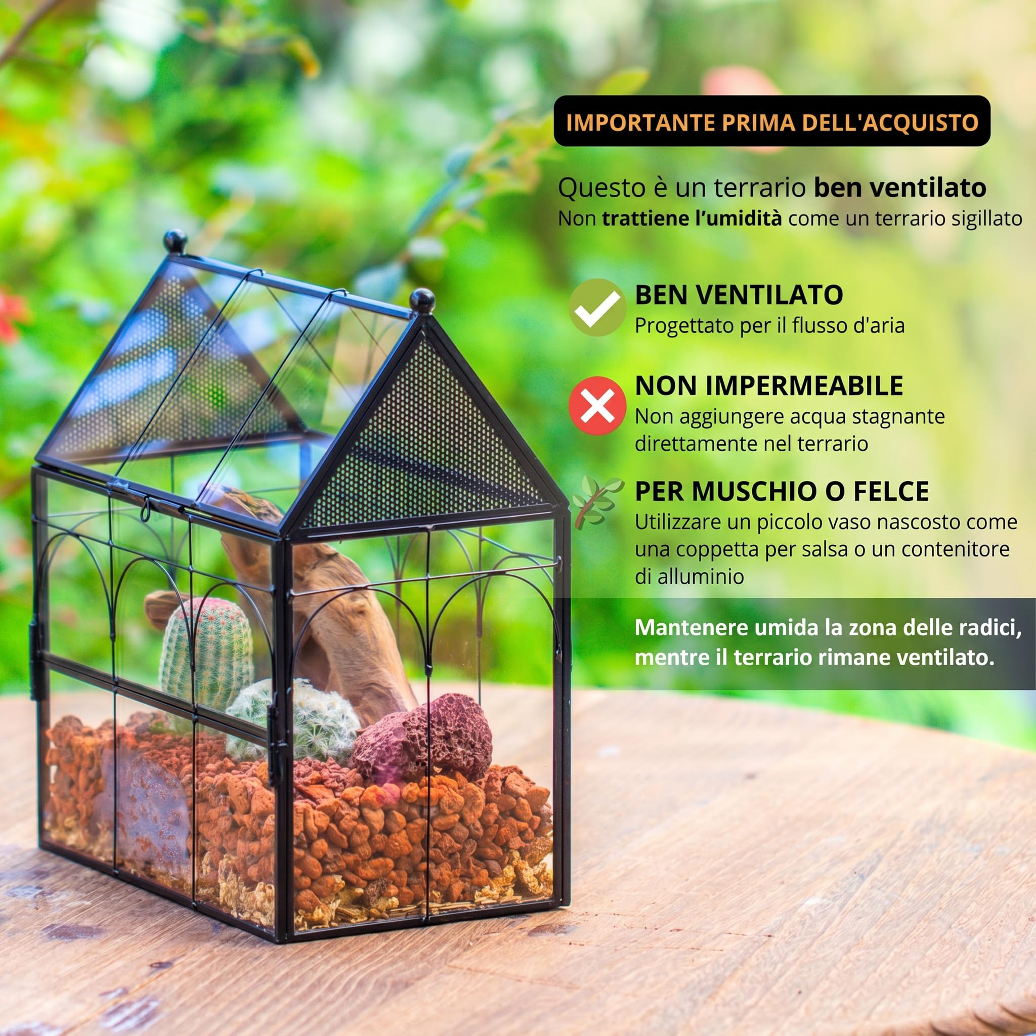 NCYP 19x12,5x23 cm Recinzione in vetro con fori di sfiato per insetti, ragni, lumache, piccola porta chiusa con apertura frontale, terario per piante grasse, habitat a forma di casa (Solo Terrario)