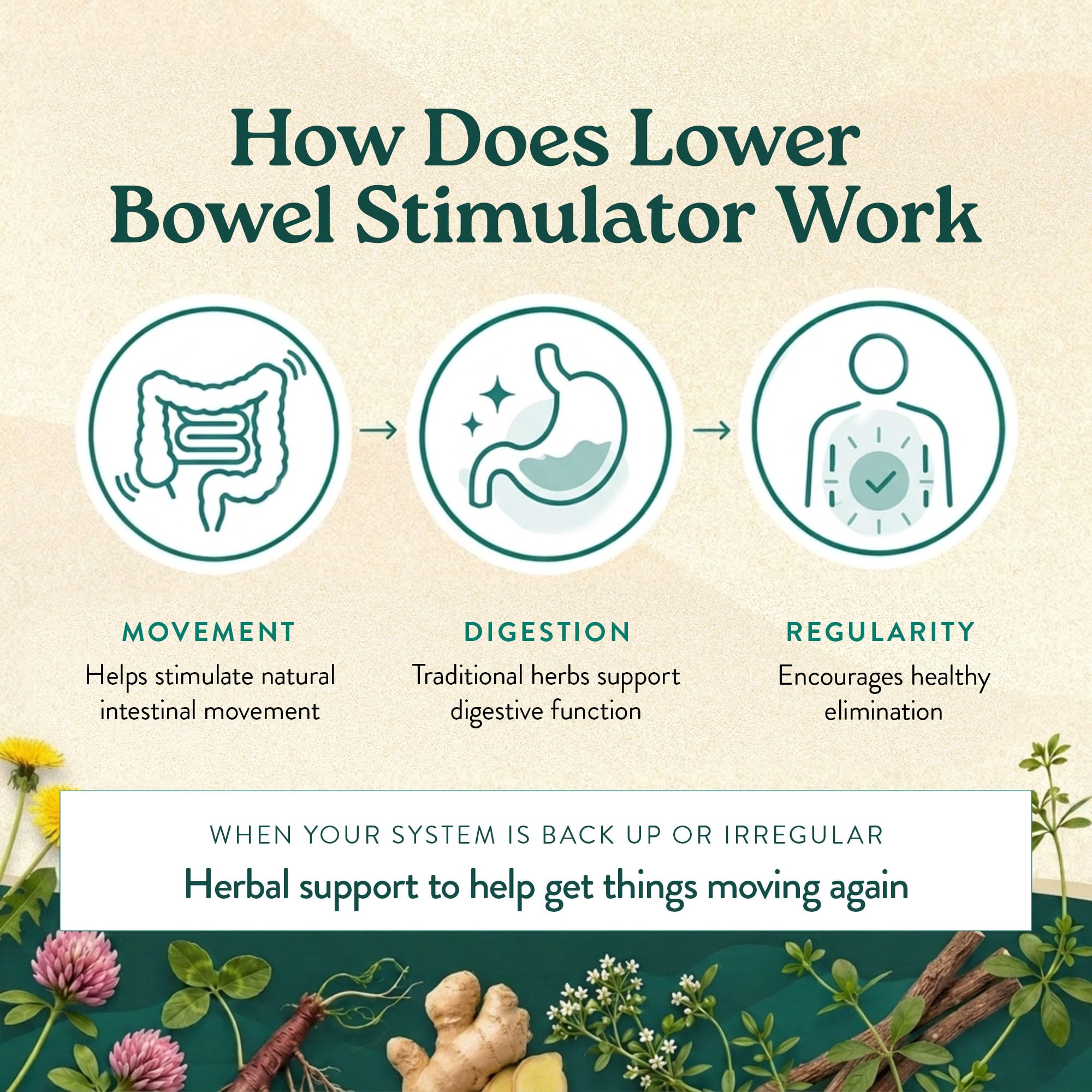 Nature's Sunshine Lower Bowel Stimulator - Helps Relieve Constipation - Cleanse & Detox Your Colon with Natural Herbal Ingredients - 25 Servings - 100 Vegcaps — Amazon image 7